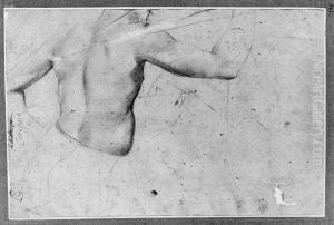 Etude af en naken rygg by Antonio da Correggio