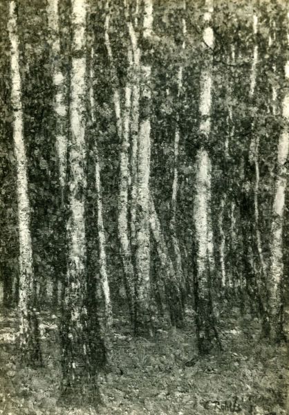Waldinneres - view 1