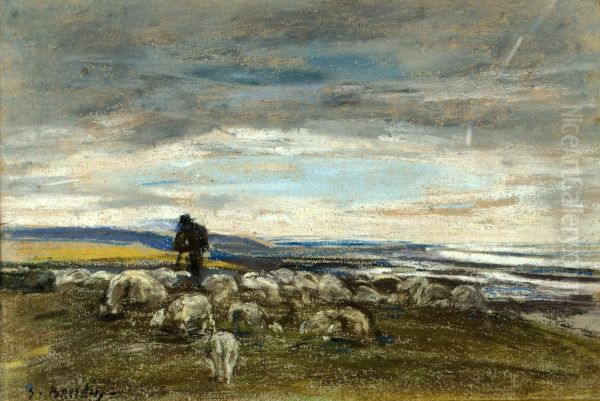 Paturage aux moutons, cote normande - view 1