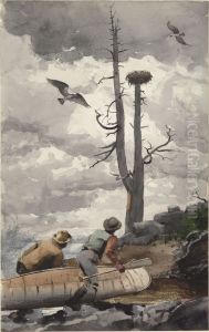The Eagle's Nest / Osprey's Nest
