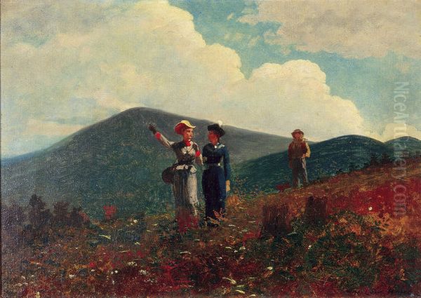 Beaver Mountain, Adirondacks; Minerva, New York - view 1