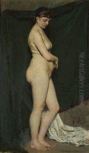 Model Study