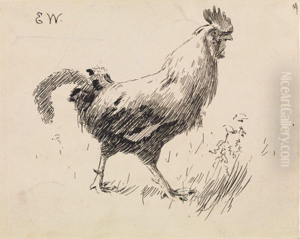 The Cock - view 1