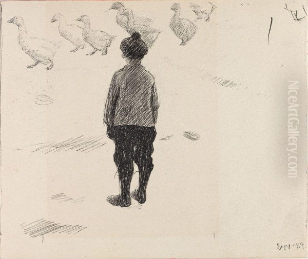 Boy looking at a Gaggle of Geese - view 1