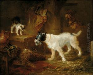Scene with dogs and a cat Scene with dogs and a cat