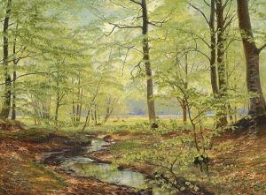 Beech trees in springtime. by Christian Zacho