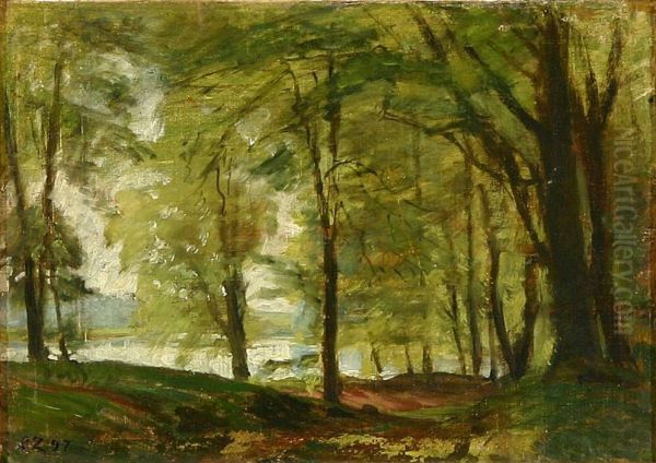 Springtime view of beech trees near a lake. - view 1