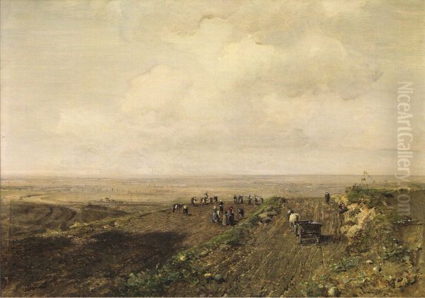 The potato harvest - view 1
