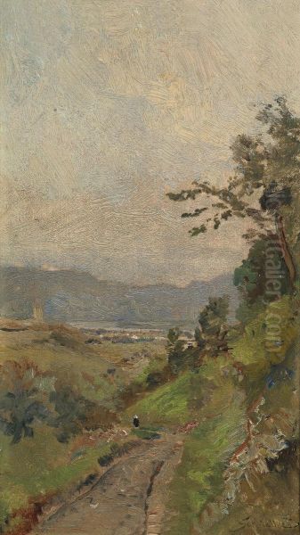 Weissenkirchen on the Danube - view 1