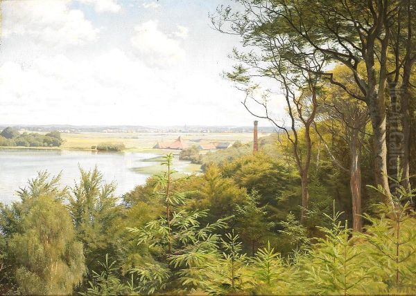 A view of Ornso near Silkeborg. - view 1