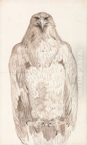 Eagle on a Perch by George Stubbs