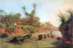 Der Isthmus von Panama auf der Hohe des Chagres River. by Charles Christian Nahl