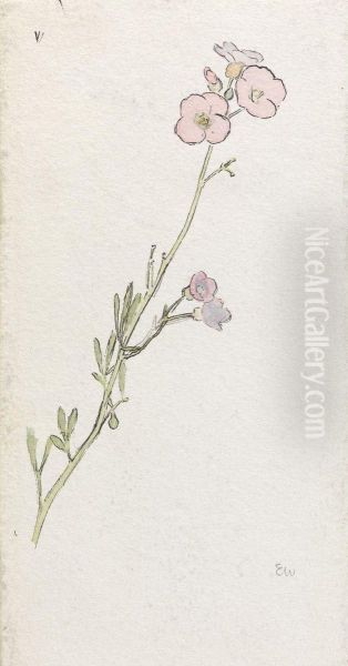 Violet Flowers - view 1