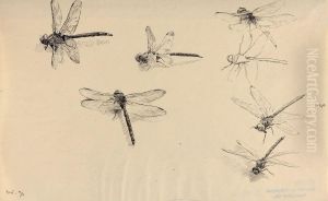 Dragonflies