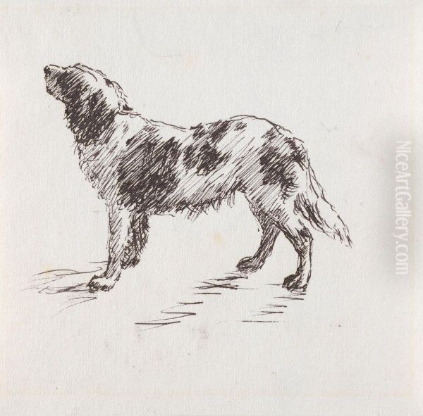 Bird Dog - view 1
