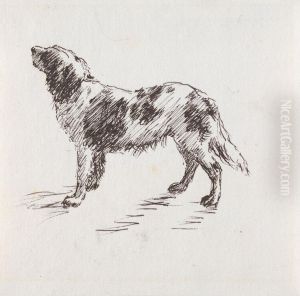 Bird Dog Bird Dog