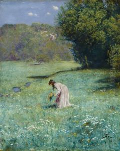 Forest meadow Forest meadow