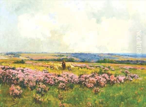 Paysage - view 1