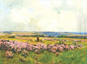 Paysage
