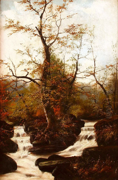 A woodland stream. - view 1
