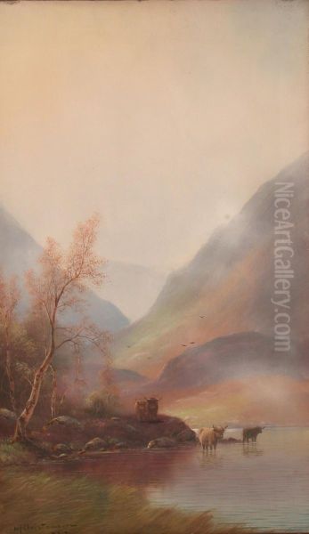 Highland landscape. - view 1