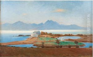 The bay of Carthage by Alberic Duyver