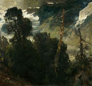 A forest near Zermatt