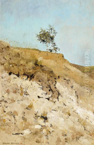 Landscape study - view 1