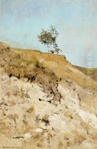 Landscape study Landscape study