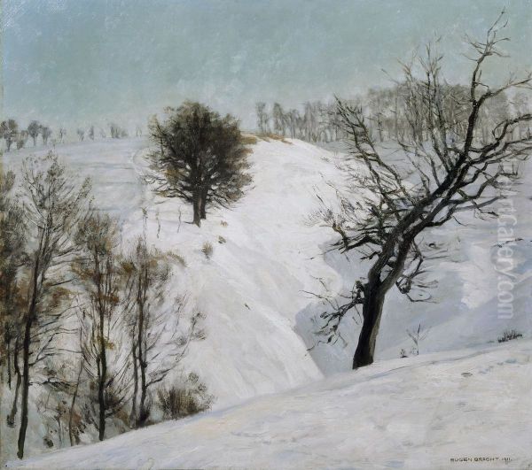 Verschneite Felder ( Wechselburg an der Mulde) - view 1
