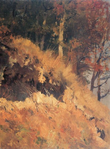Path in the Muhltal - view 1