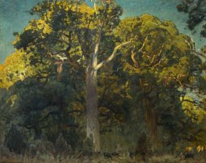 Oak forest Oak forest