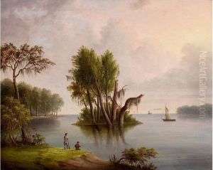 Mississippi Panorama by Robert Brammer