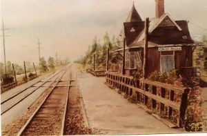 La gare de Saint-Bruno-de-Montarville by Denise Rondeau
