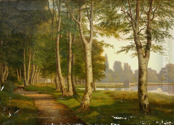 Landscape with a path along a forest lake. - view 1