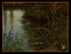Study of Water and Plants