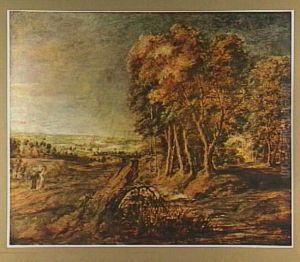 Landscape after storm