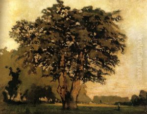 The oak at the Cascine The oak at the Cascine