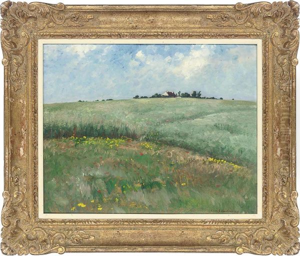 Sunny Field - view 1