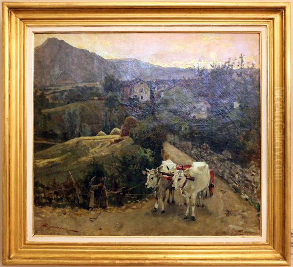 Oxen in Pietramala - view 1