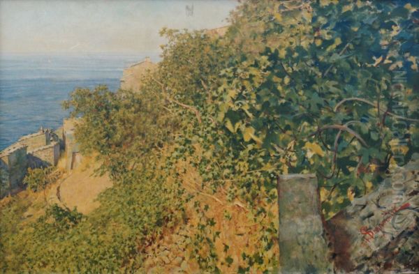 Vegetazione ligure a Riomaggiore - view 1
