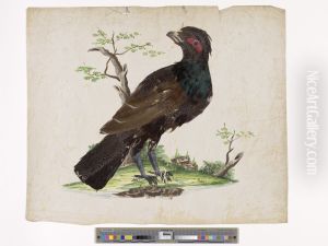 A male black-billed capercaillie in a landscape by Musea Brugge