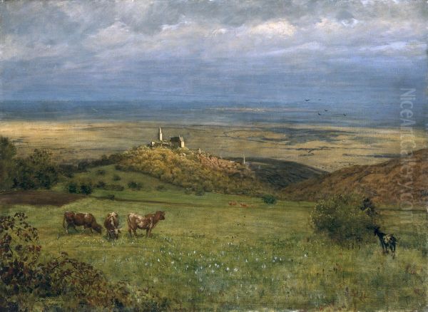 Blick auf Kronberg im Taunus - view 1
