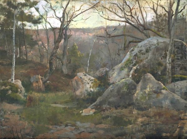 Winter in Fontainebleau Forest - view 1