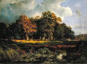 Der Stangenmuhlengrund im Sachsenwald