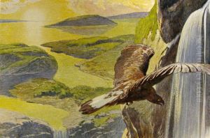 An eagle and a waterfall
