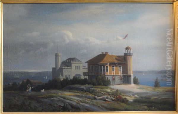 Cygnaeus' Villa in the 1870s - view 1