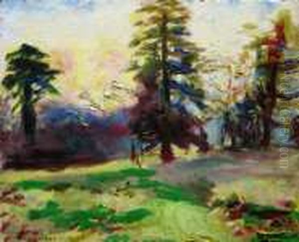 Cypres au couchant - view 1