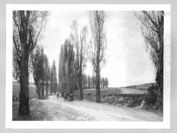 Poplar - allee - view 1