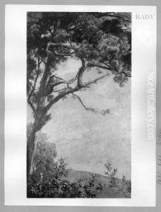 Landscape with a fir